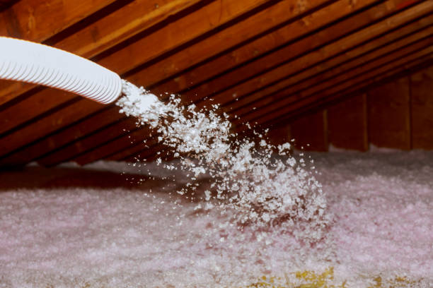 Best Commercial Insulation Services  in Southchase, FL